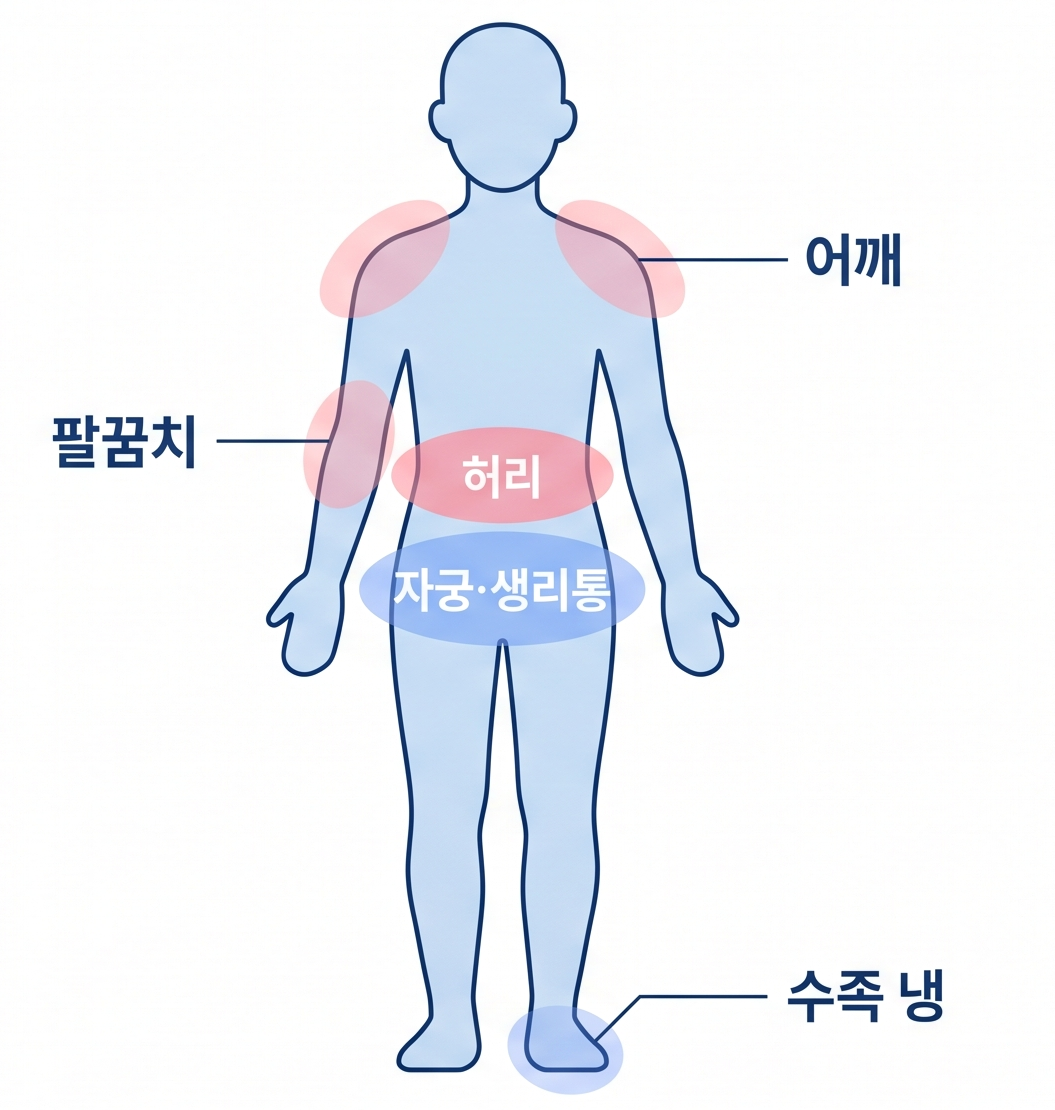 적응증 부위 다이어그램 — 어깨·팔꿈치·허리·자궁/생리통·수족 냉증